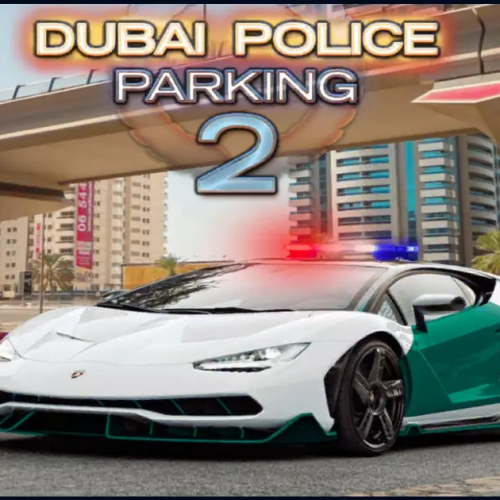 DUBAI POLICE PARKING 2